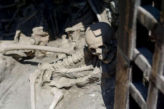 Tour of Herculaneum Skip the Line With Official Guide - House of the Skeleton and Partem Domus