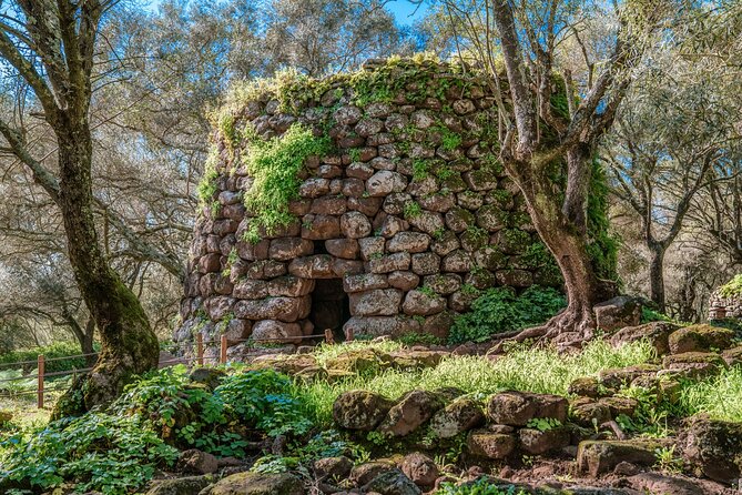 Tour of the Well of Santa Cristina and Nuraghe Losa Entrance Fees Included - Recommended Preparation Tips