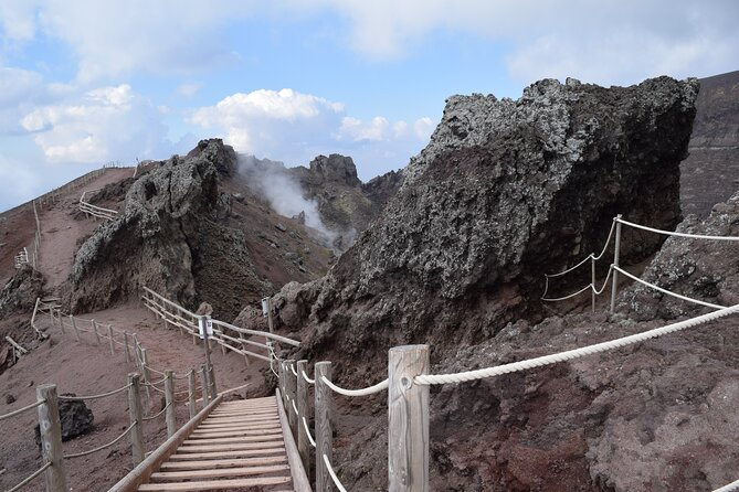 Tour to Discover Pompeii and Vesuvius - About the Tour Operator