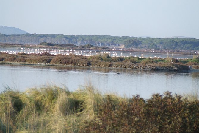 Transfer Forte Dei Marmi To/From Rome Optional Orbetello Stop - Review Highlights