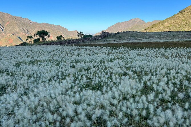 TREKKING to MARAGUA by the INCA TRAIL - Experiencing Local Culture