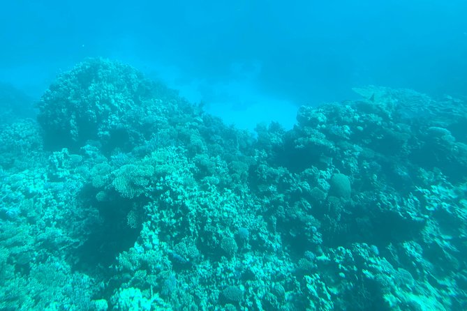 Trip on a Glass Bottom Boat From Hurghada - Practical Tips and Considerations