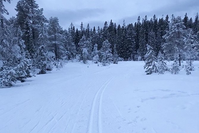 Trondheim Small-Group Cross-Country Skiing Adventure - Suitable for Skiers of All Levels