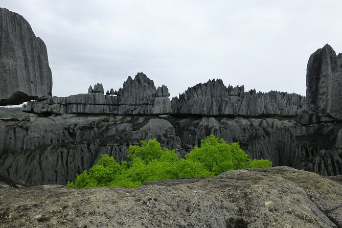 Tsingy Tour 04 Days - Highlights of the Tsingy