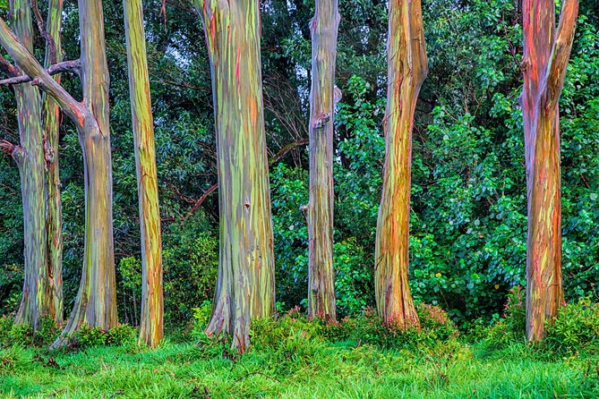 Ultimate Self-Driving Audio Tour of Road to Hana, Maui - Technical Requirements and Support