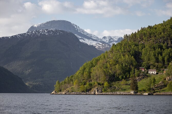 Ulvik Scenic RIB Adventure Tour to Osafjord - Exploring the Osafjord Landscape