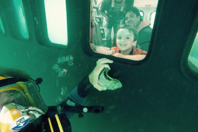 Underwater Whale Watching in Puerto Piramides - Tour Capacity and Guest Reviews