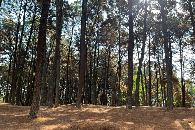 Unique Full-Day Kigali Private City Tour - Booking Information