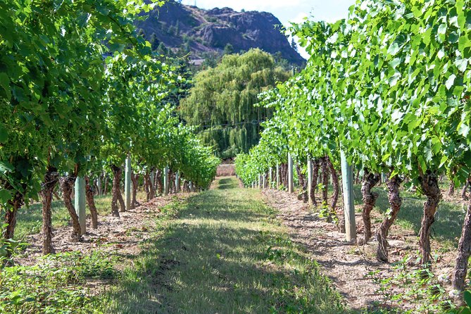 Unmatched Private Wine Tours for Up to 11 in Kelowna Area - Pricing and Group Size