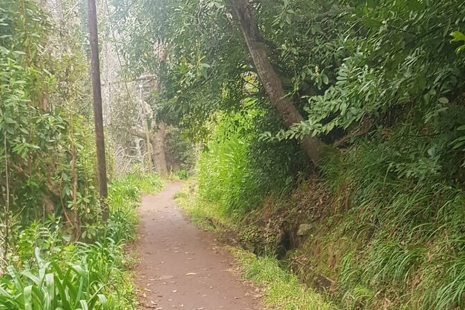 Vale Paradiso - Rock (Half Day Walk) - Frequently Asked Questions