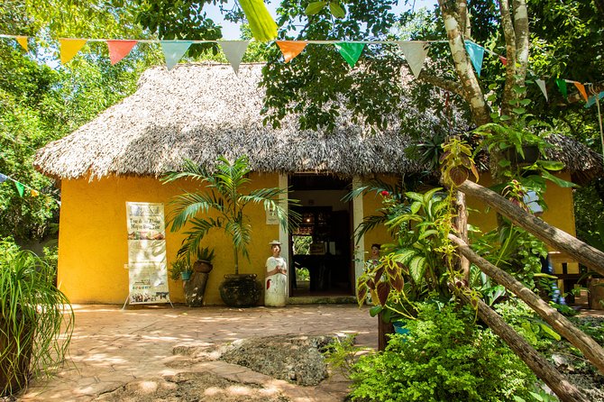 Valladolid Mayan Bees Tour With Lunch or Breakfast and Honey Tasting - Delicious Local Cuisine