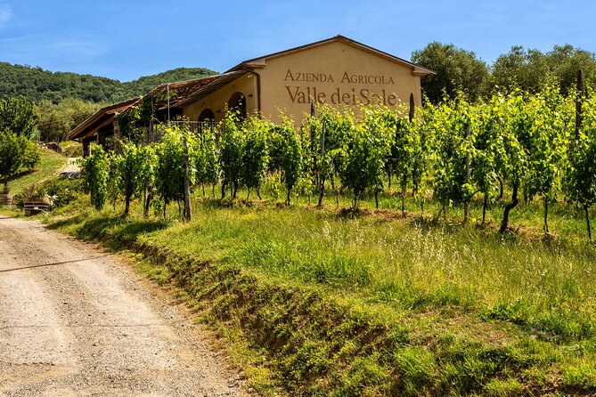 Valle Del Sole Tour and Tasting of Our Top Wines - Exploring Valle Del Sole