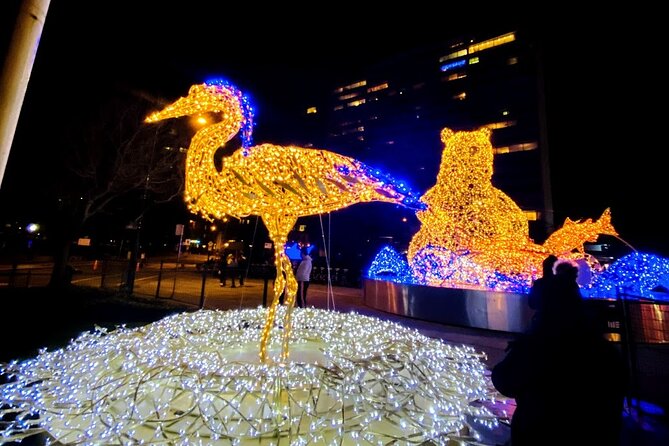 Vancouver Christmas Light Tour Private - Highlights of the Tour