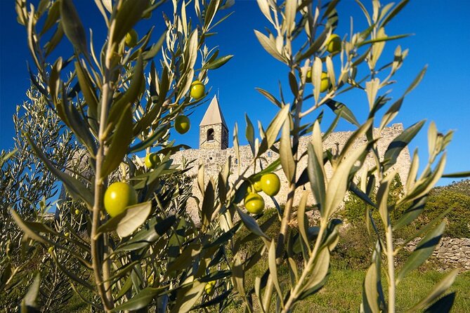 Vespa Wine Tour - Participant Requirements