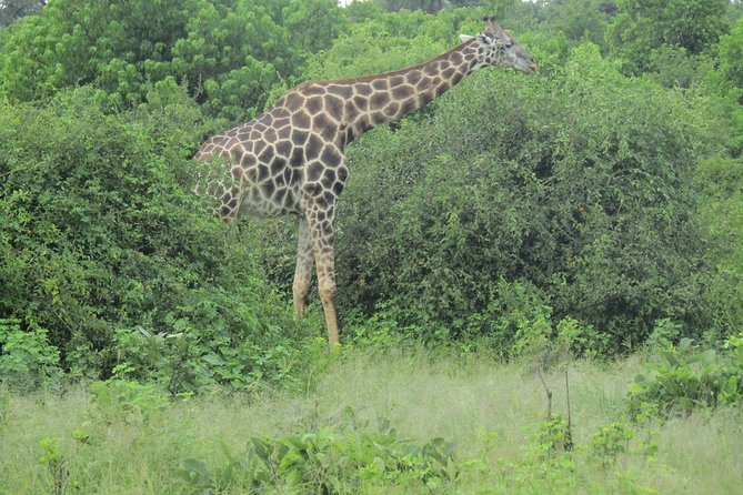 Victoria Falls: Whitewater Rafting + Chobe Safari Combo - Booking and Cancellation Policy