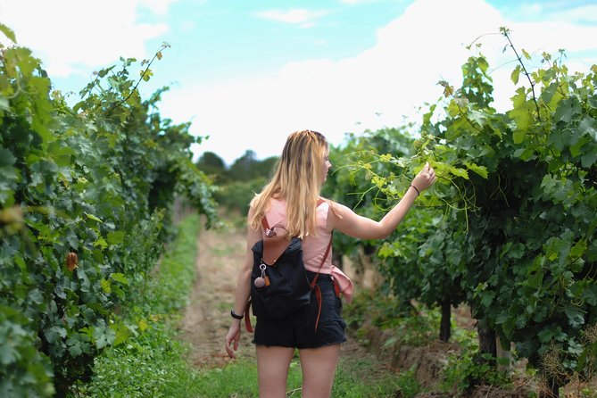 Vienna Vineyard and Danube River on Electric Bikes - Accessibility and Preparation