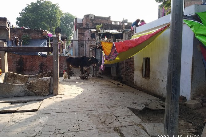 Village Tour - Accessibility Considerations