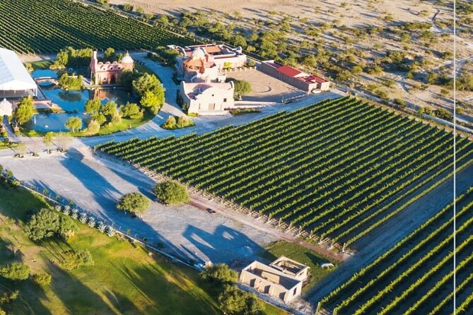 Vineyard, Tour, Tasting and Fun in San Miguel De Allende - Tour Duration
