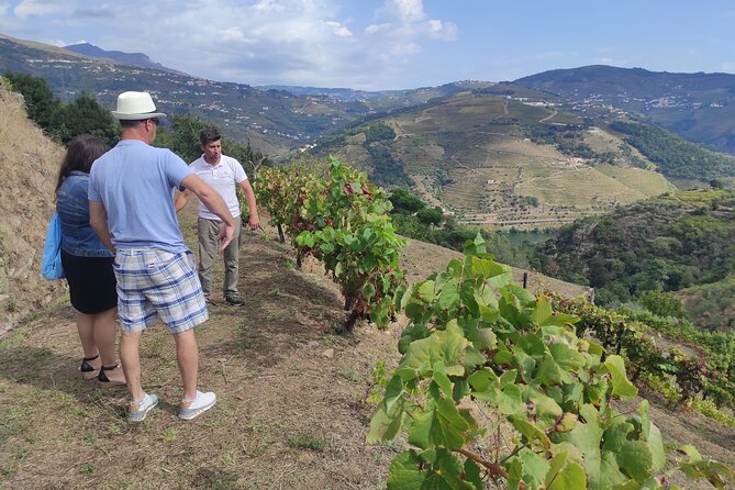 Vinho Verde Experience - Product Information