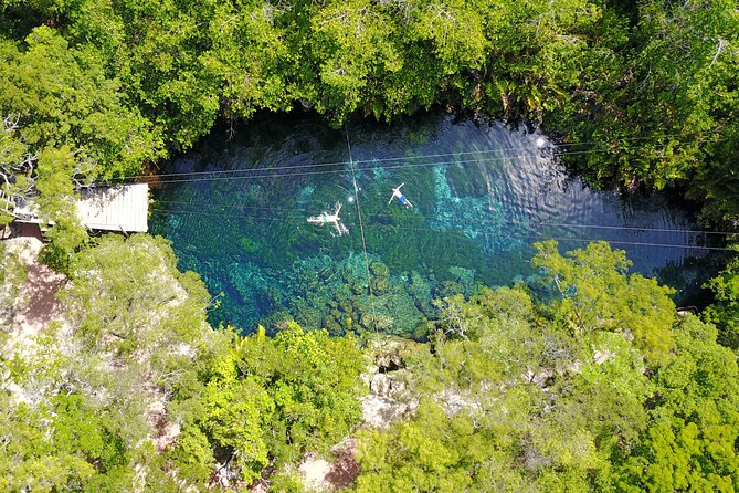 VIP Cenotes & Turtles Private Tour - Why Choose This Tour