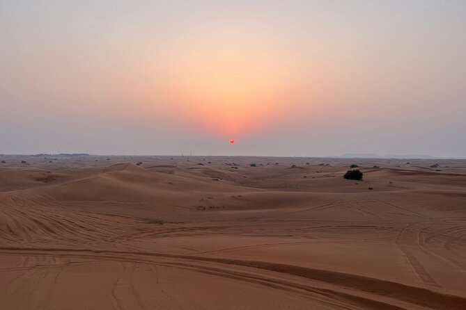 VIP Evening Desert Safari, ATV 30 MIN, Camel Ride, BBQ, 10 Shows - Accessibility Information
