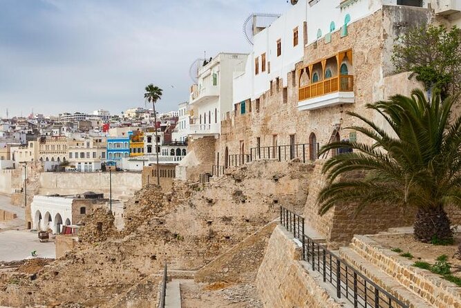 Vip Full Day Private Tangier Tour From Malaga All Inclusive - Traveler Feedback and Ratings