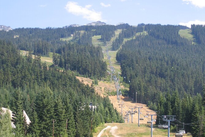 VIP Private Sedan Transfer Whistler BC to Vancouver Intl. Airport - Transportation Details