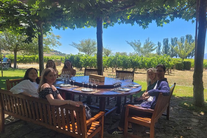 Visit Marques De Riscal & Picnic in Vineyard From Bilbao - Picnic-Style Lunch