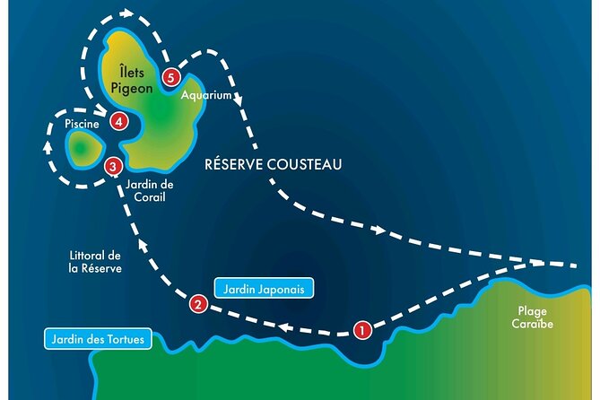 Visit the Cousteau Reserve By Boat Without a License - Snorkeling the Underwater Wonders