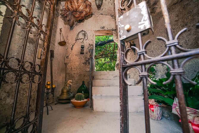 Visit to a Lemon Grove on the Amalfi Coast With Tasting - Highlights of the Experience