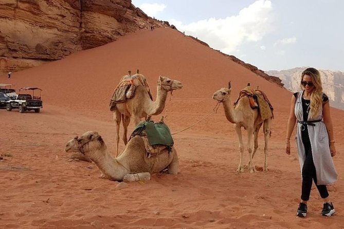 Wadi Rum Private Transfer to or From Amman or Airport - Customer Feedback and Experiences