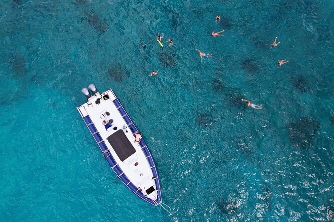 Waikiki Whale Watch & Ocean Rafting Tour (Small-group) - Operator and Location