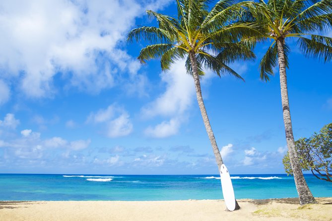 Wailua Valley & Waterfalls Audio Driving Tour - User Reviews and Experiences