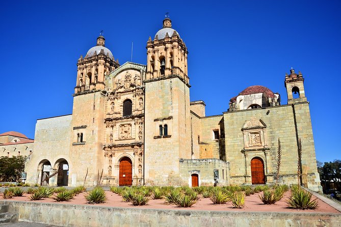 Walking Tour and Museums Oaxaca - Traveler Experience