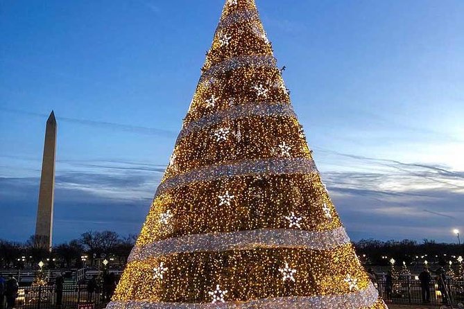 Washington DC Holiday Lights Tour - Navigating the Holiday Displays