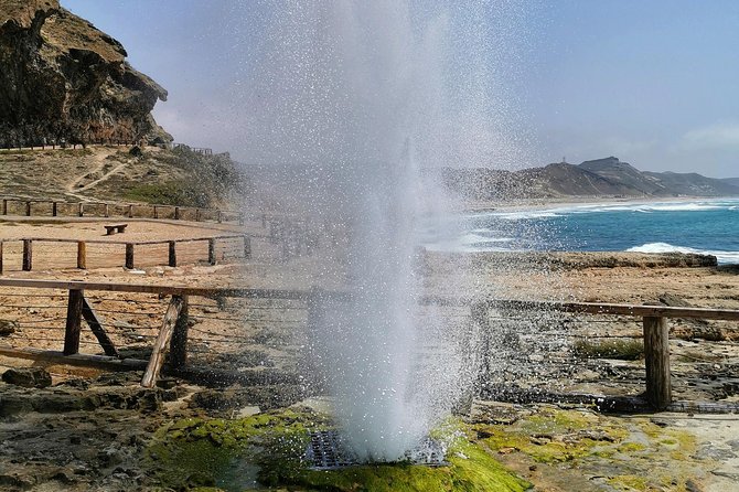 West Salalah, Al Mughsail Beach, White Beach, Frankincense Tree (Half Day Tour) - Accessibility Features