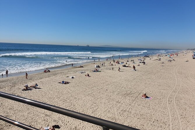 Whale-Watching and Orange County Beaches Tour From Anaheim - Whale-Watching Excursion