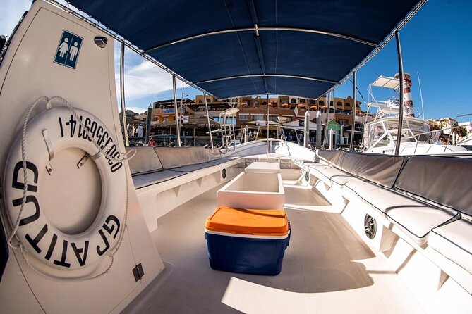 Whale Watching With Hydrophone in Cabo San Lucas - Guided Whale Watching