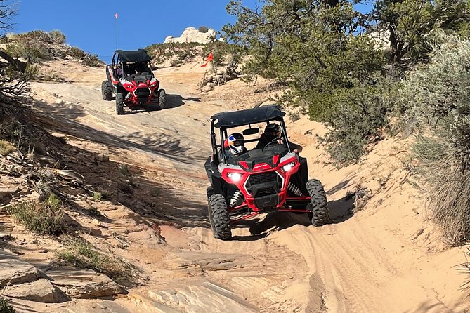White Pocket Guided ATV (You Drive) or 4WD (Guide Drives) Tour - Traveler Reviews and Ratings