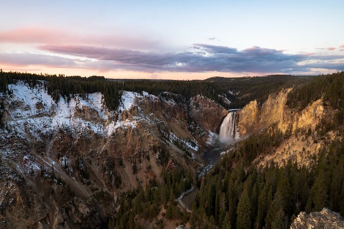 Wildlife and Waterfalls - Customer Reviews and Ratings