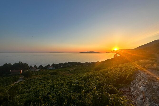 Wine and Gastro Private Tour in Peljesac - Since You Asked