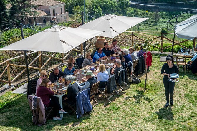 Wine and Lunch Tour - The Sum Up