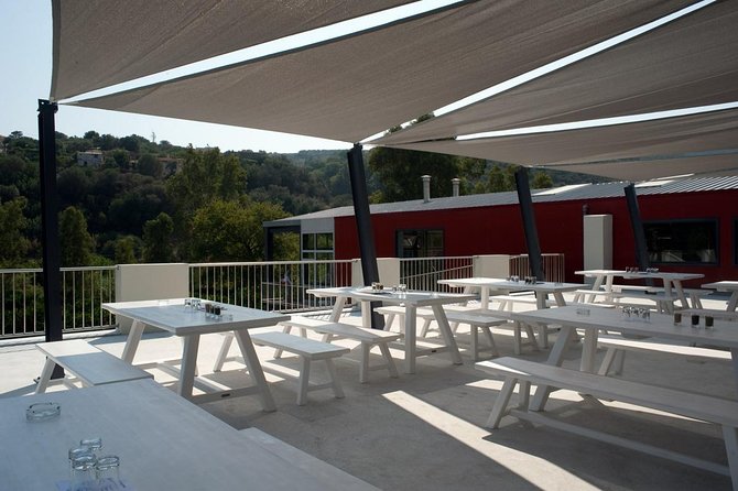 Wine, Beer, Olive Oil Tasting Private Tour (Price per Group of 6) - Tour Highlights