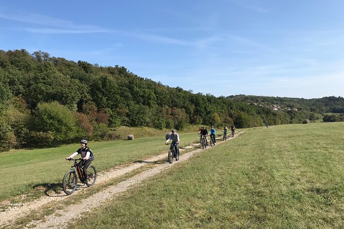 Wine Cycling Tour by E-Bike - Lunch at Local Restaurant