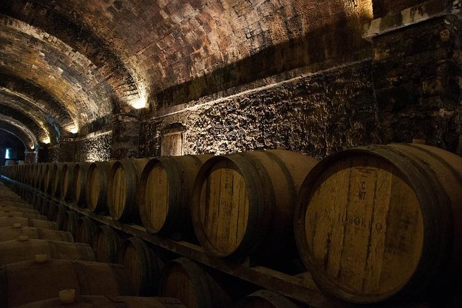 Wine Experience in the Parma Hills - Customer Reviews Highlights