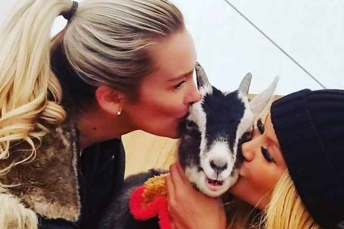 Wine Tasting and Nigerian Dwarf Goats Experience - Additional Details