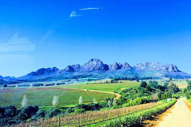 Wine Tasting - Boutique Farms - Pairing Wines With Local Cuisine