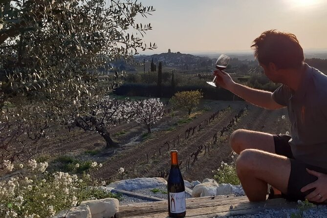 Wine Tasting in Sablet - Tasting Experience