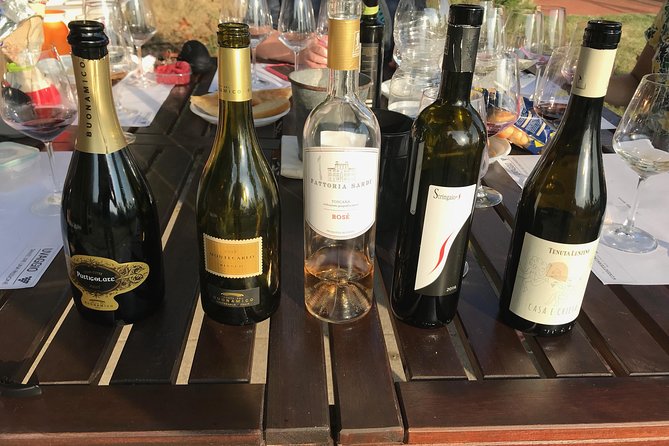 Wine Tasting in the Lucca Countryside With Sommelier - Expert Sommelier Guidance