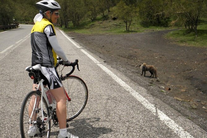 Wine Tasting With Bike Tour in Castiglione Di Sicilia - Key Considerations for Participants
